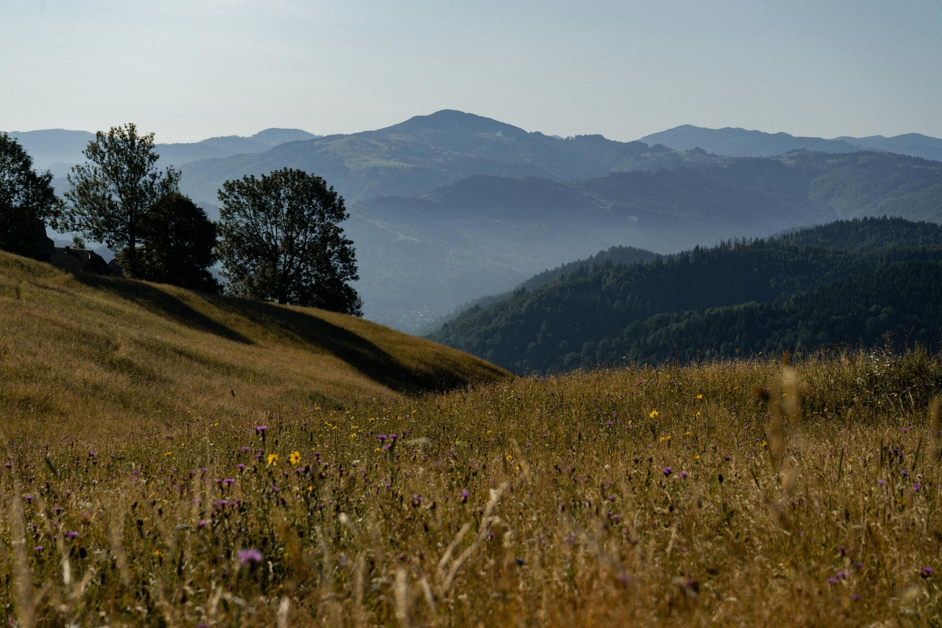 Погода на 9 вересня - 24 Канал Погода на 9 вересня - 24 Канал