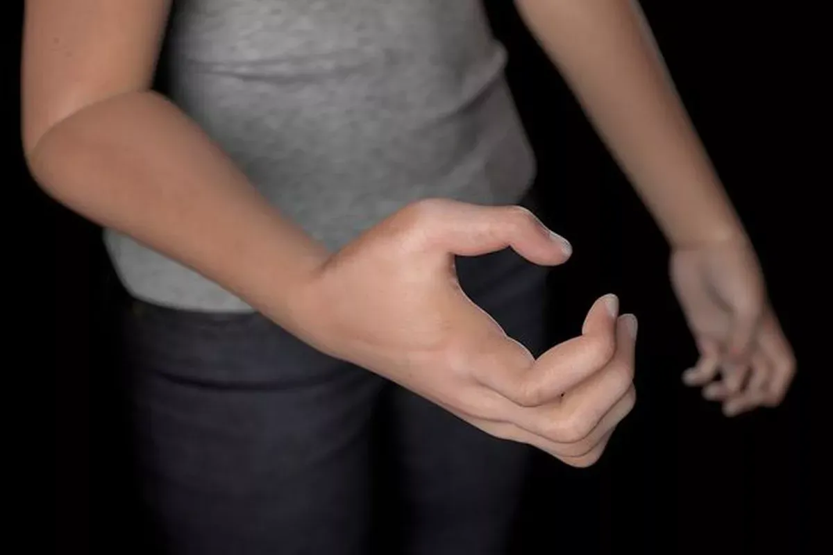 Модель руки