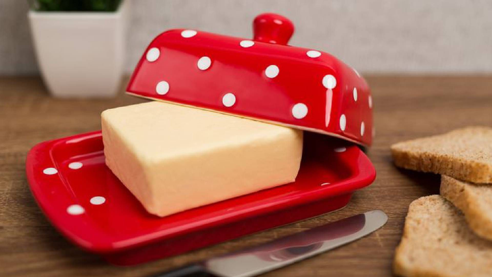 Маслянки знову з'являються на кухнях