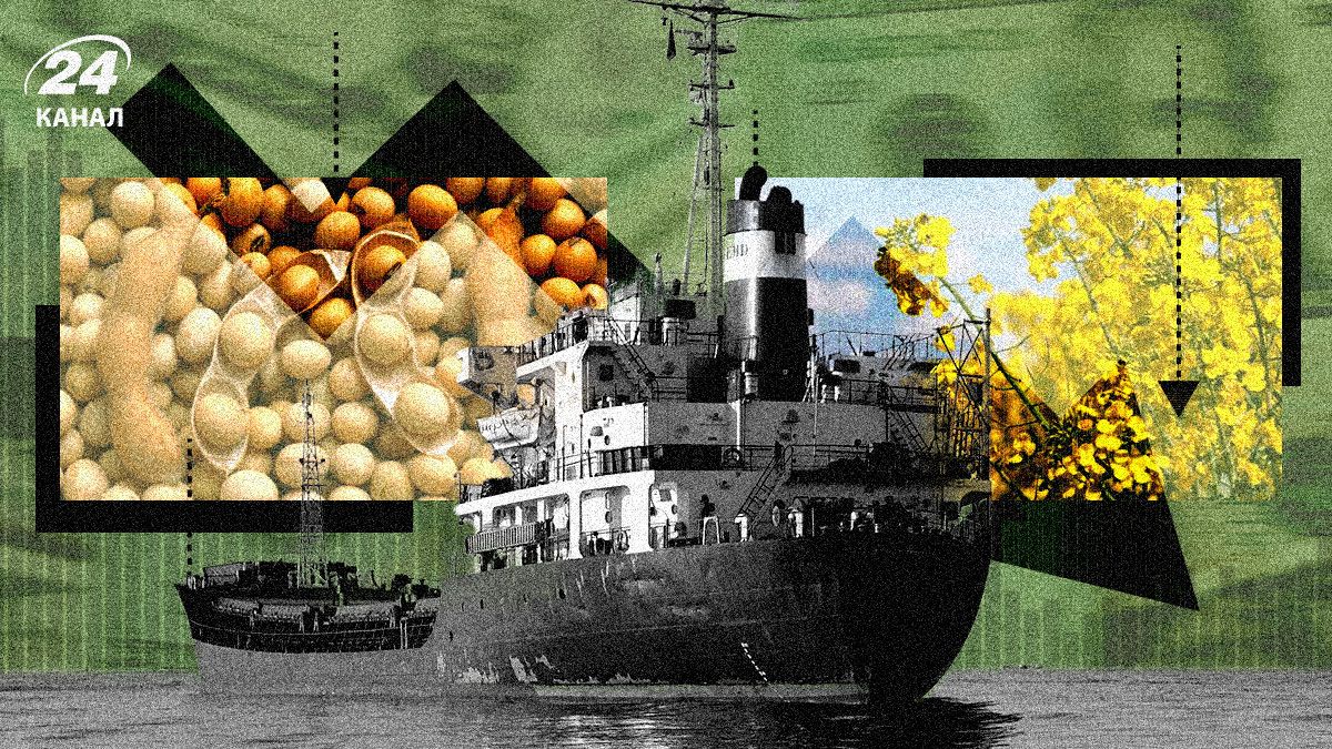 Експорт сої і ріпаку зупинився Експорт сої і ріпаку зупинився