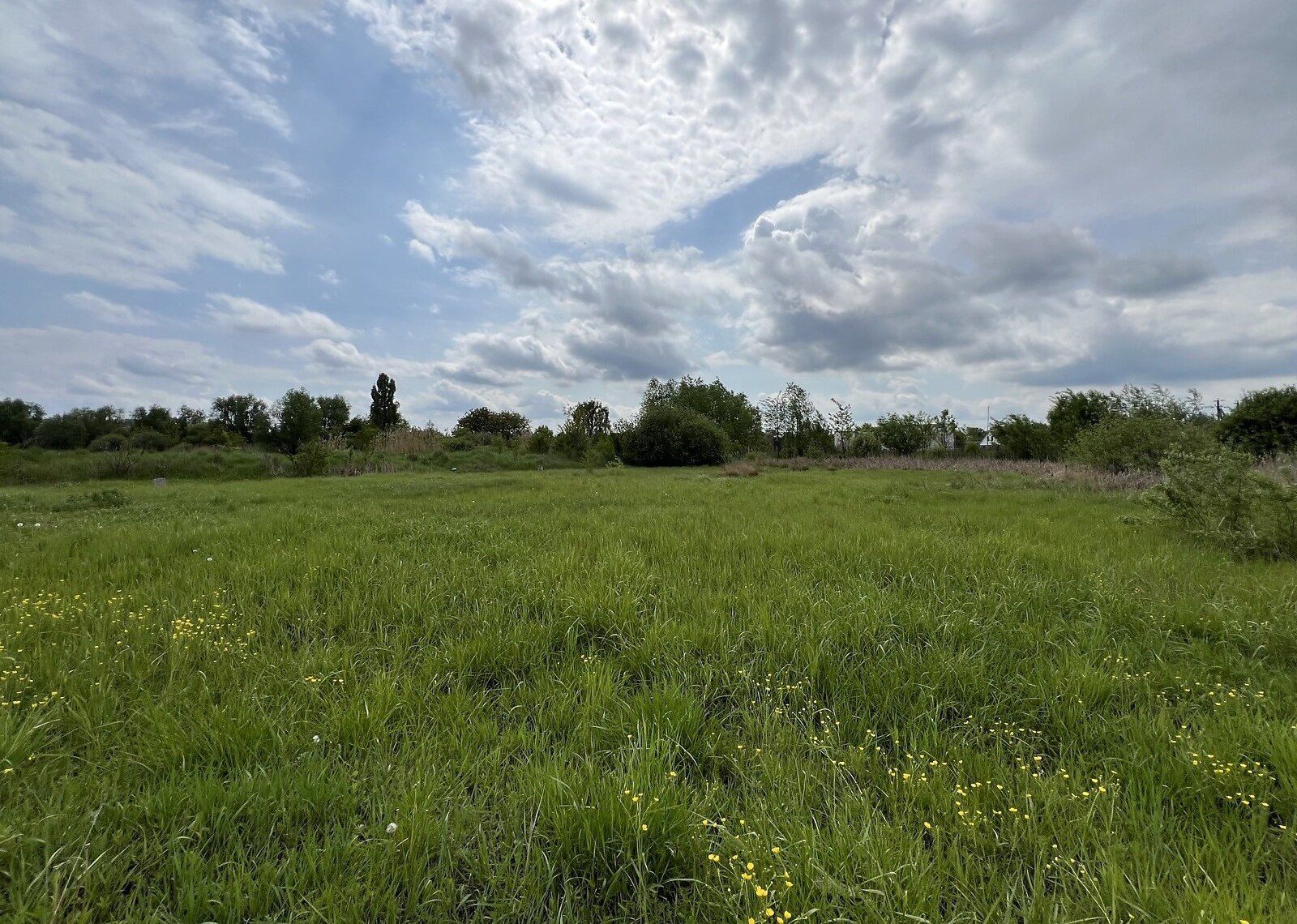 Спадщина на пай Спадщина на пай