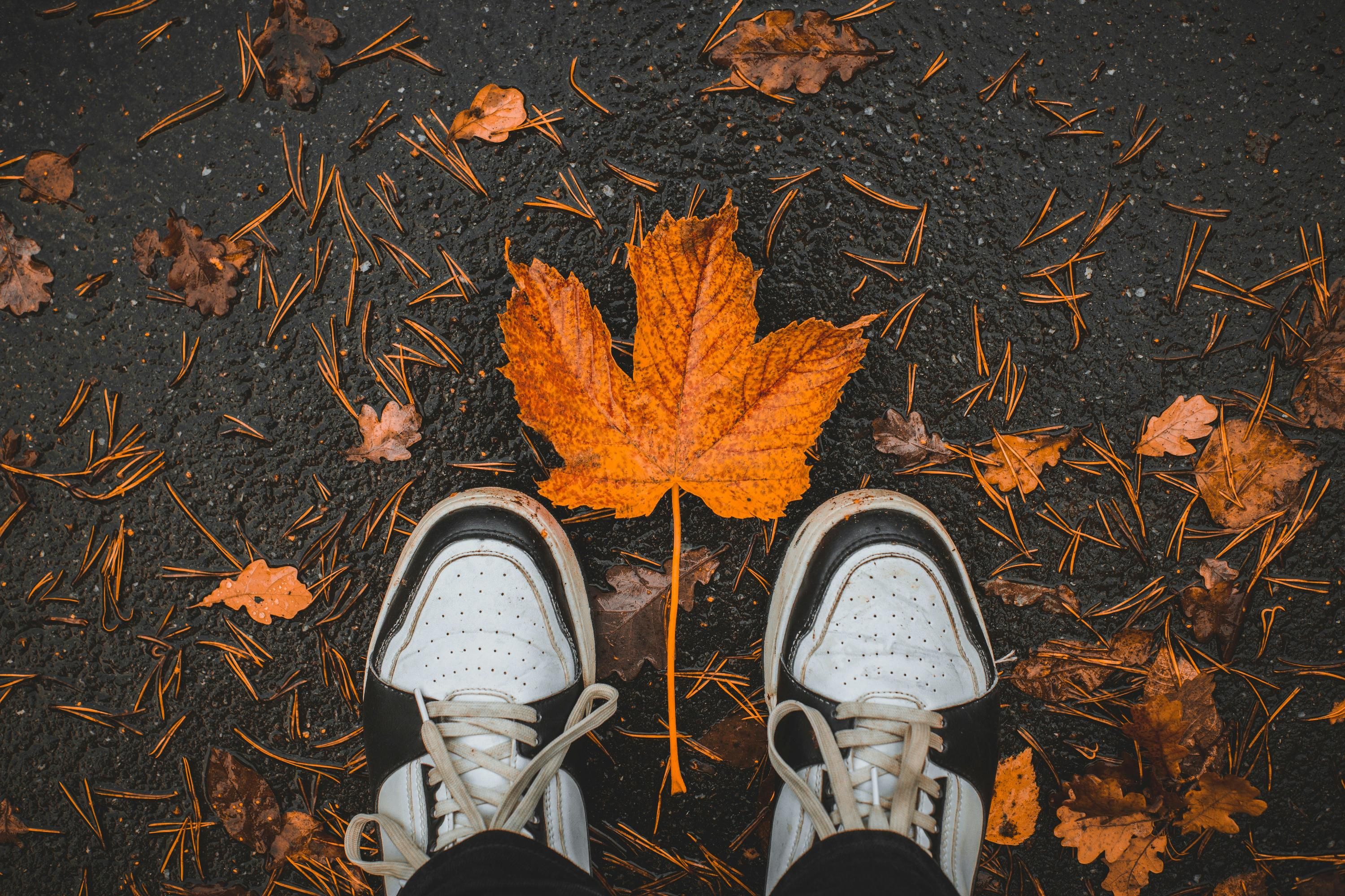 Погода в Україні наступні дні Погода в Україні наступні дні