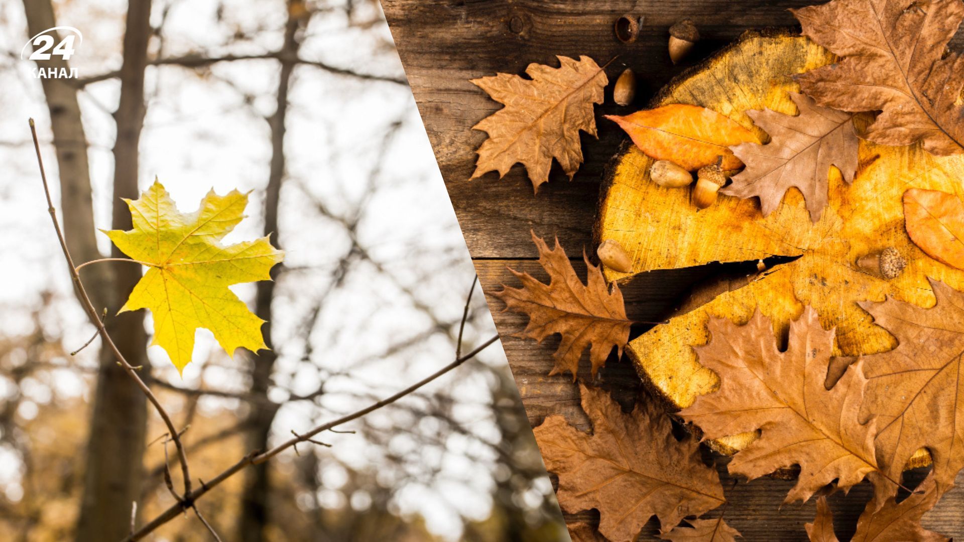 Народные приметы о погоде Народные приметы о погоде