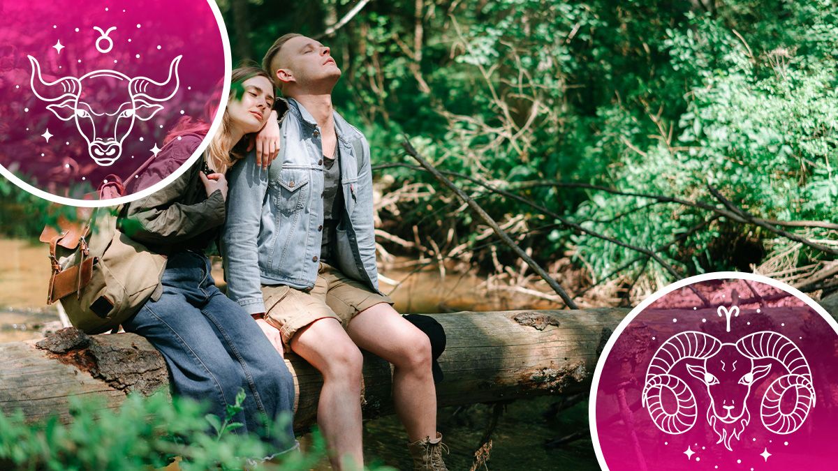 Кто поедет в путешествие - гороскоп Кто поедет в путешествие - гороскоп