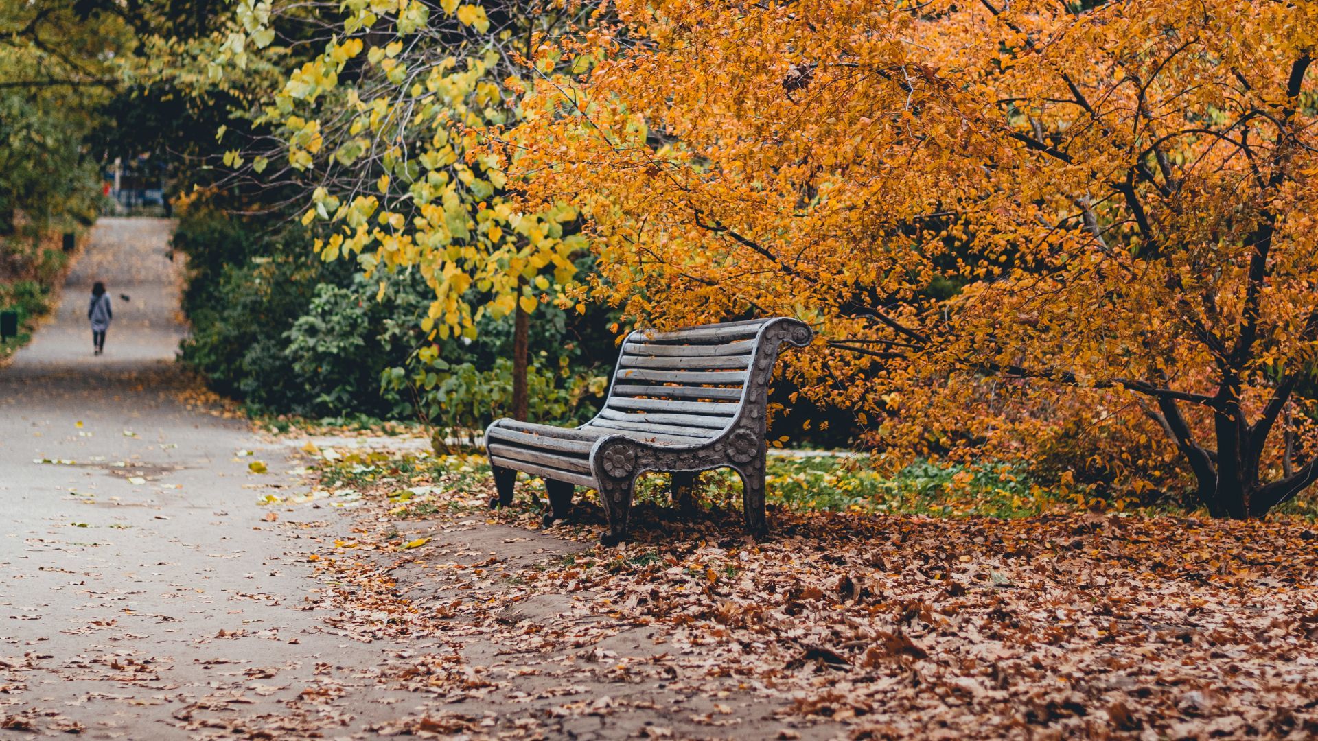 Какую максимальную температуру прогнозируют синоптики на этой неделе в Украине - 24 Канал Какую максимальную температуру прогнозируют синоптики на этой неделе в Украине - 24 Канал