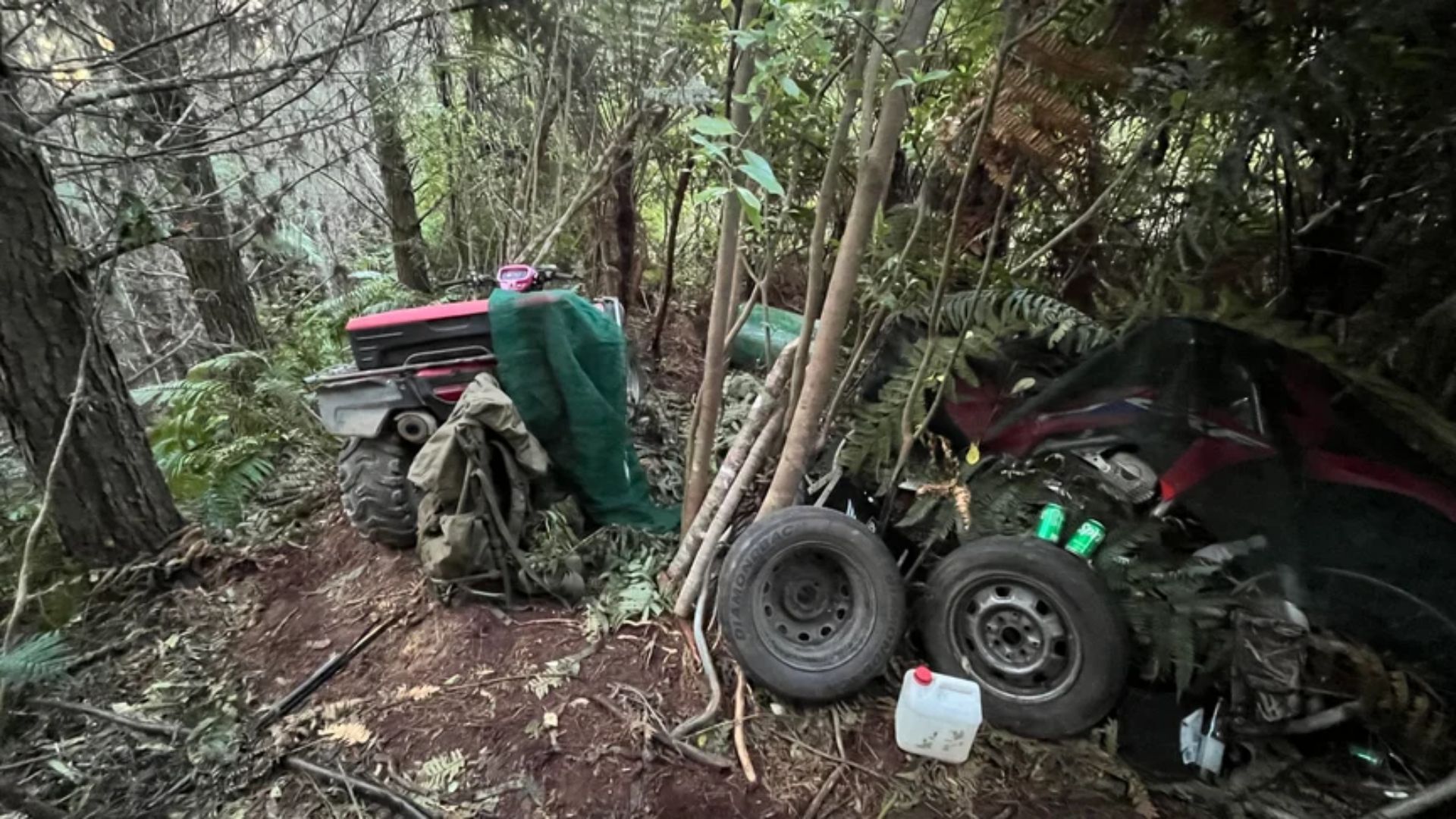 В Вайтомо полицейские нашли лагерь беглеца Тома Филлипса