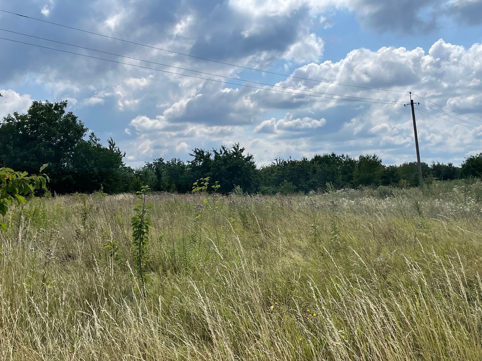 Потерянные документы на землю Потерянные документы на землю