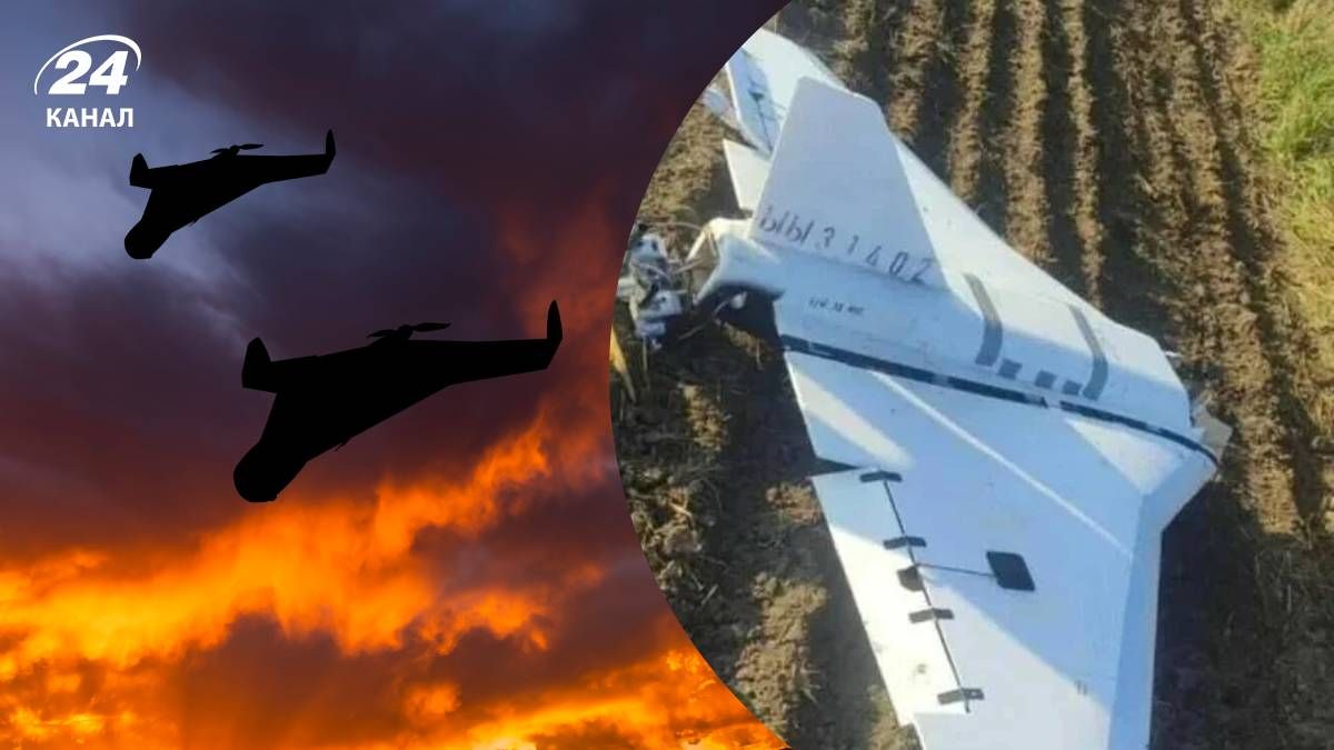 Які імовірні подальші дії Путіна після атаки на Польщу Які імовірні подальші дії Путіна після атаки на Польщу