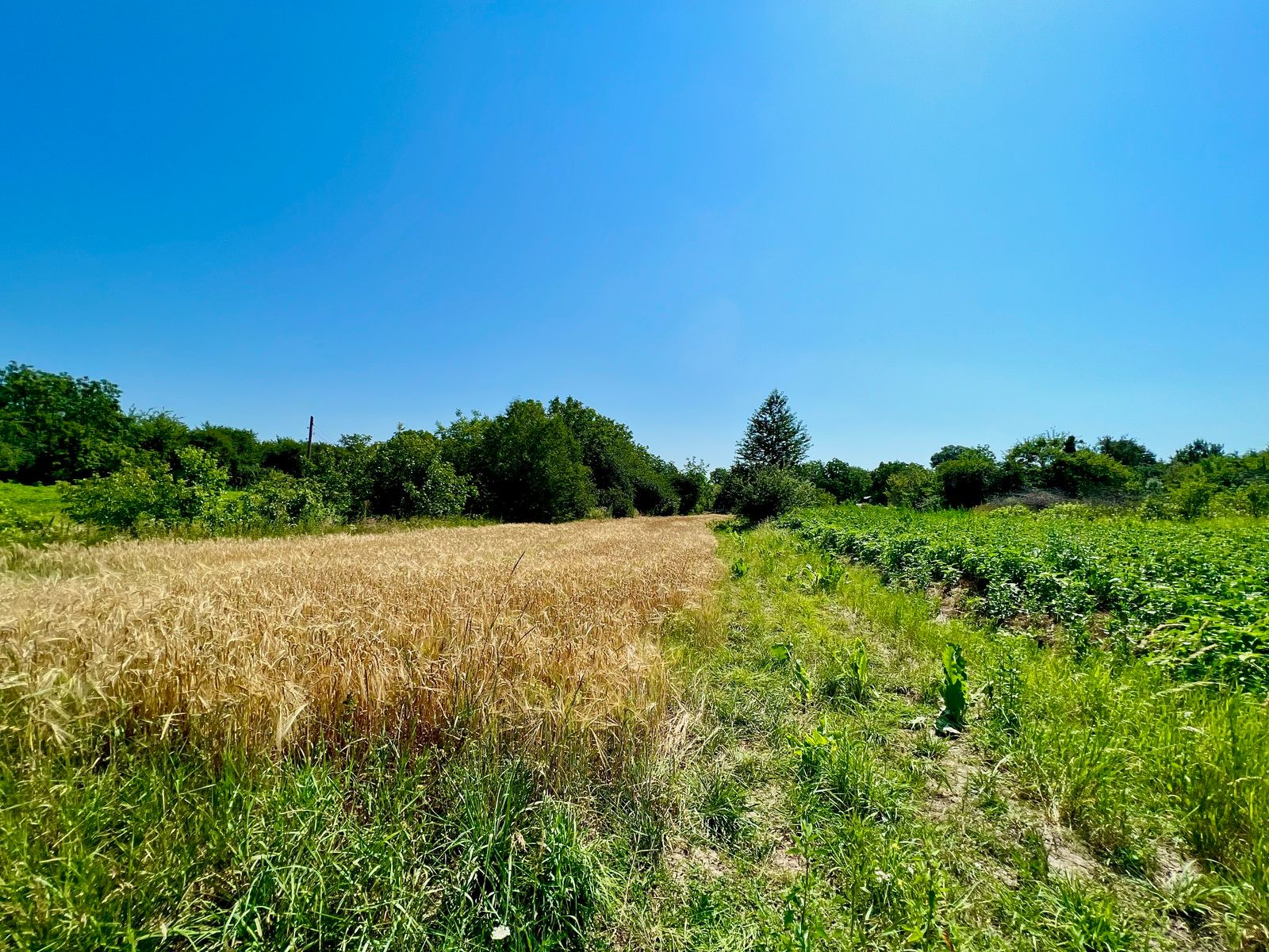 Обязательные условия договора аренды Обязательные условия договора аренды