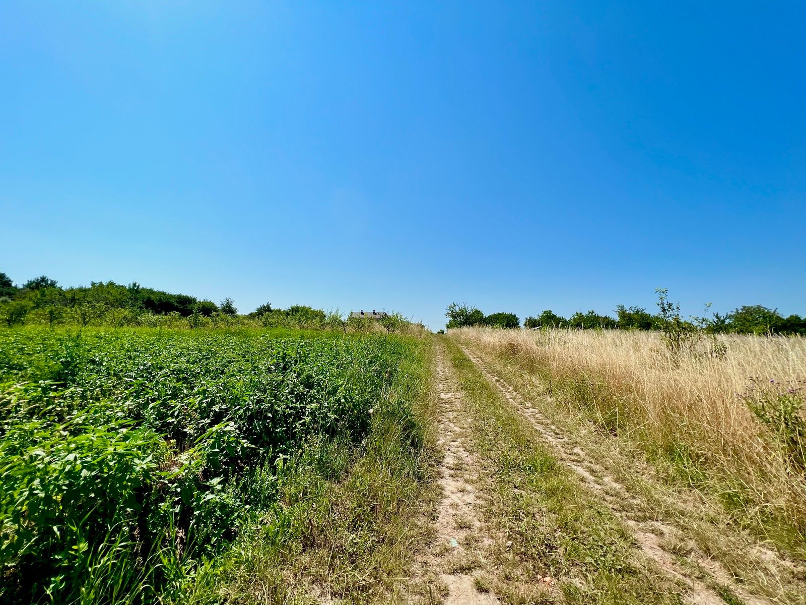 Какую землю нельзя приватизировать Какую землю нельзя приватизировать
