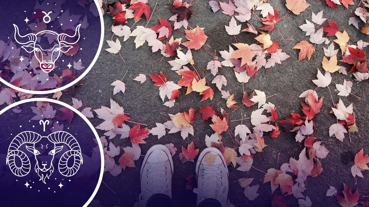 У кого изменится жизнь - гороскоп