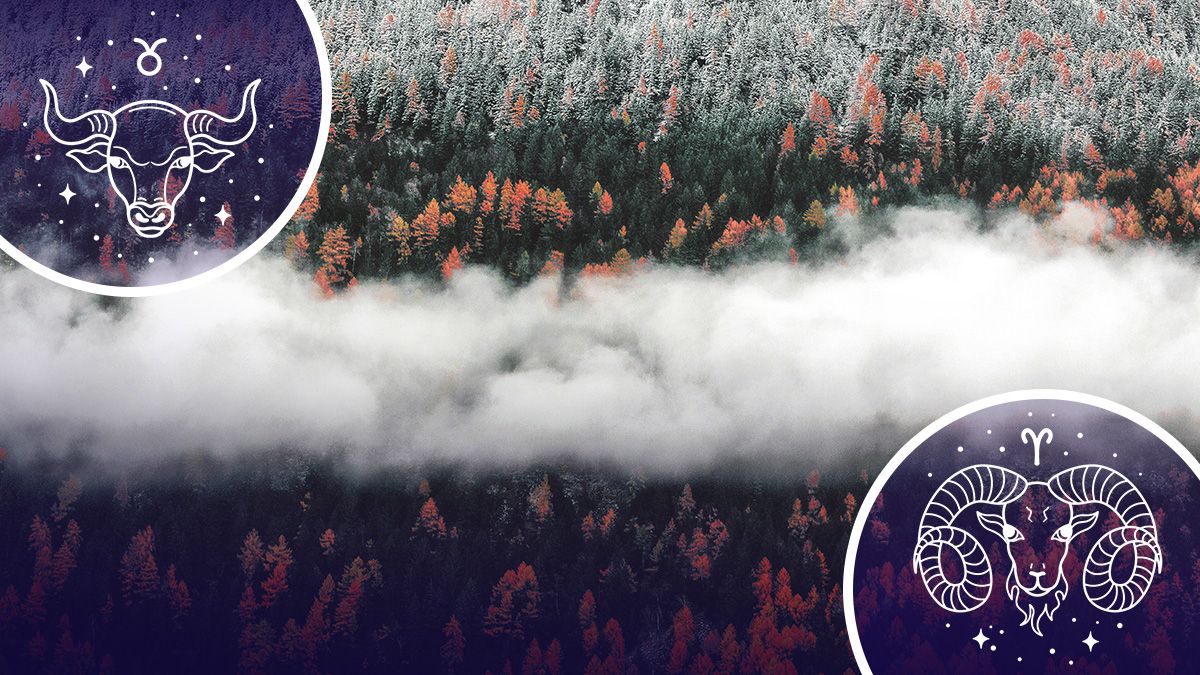 Кто переосмыслит жизнь - гороскоп Кто переосмыслит жизнь - гороскоп