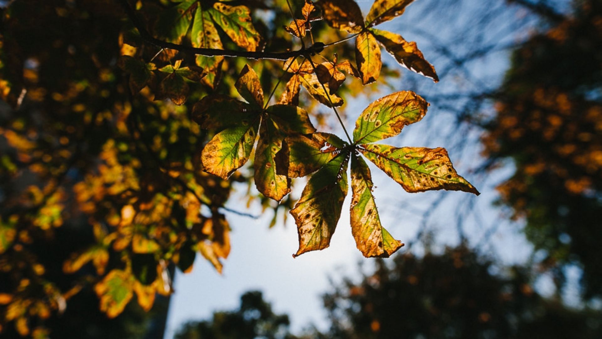 Погода в Украине на выходных Погода в Украине на выходных