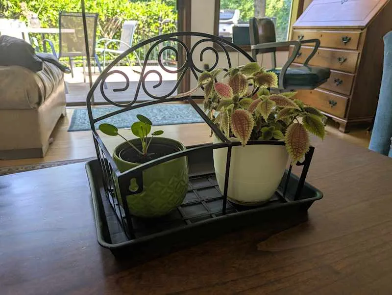 креативна підставка для рослин