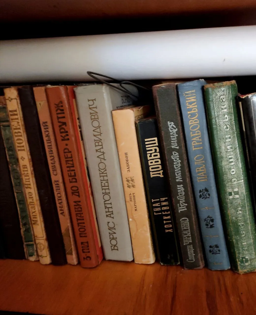 Радянська влада попросила пана Богдана приховати деякі книги