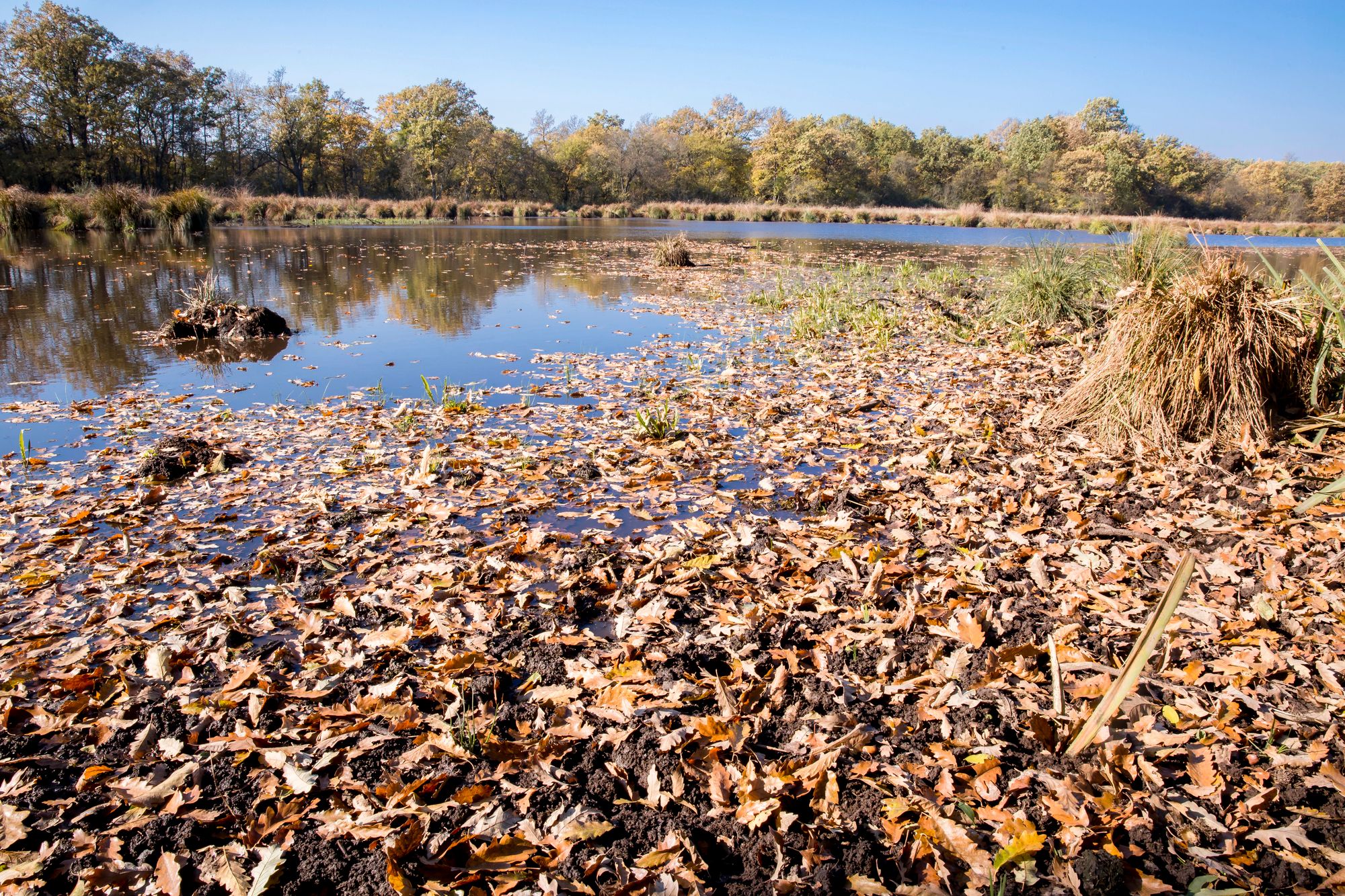 Осінь в Україні Осінь в Україні