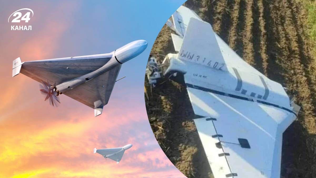 Какова цель дроновой атаки России на Польшу