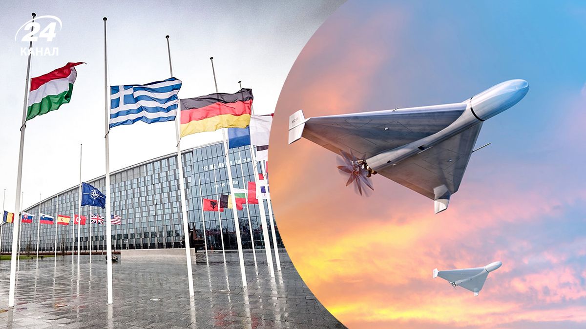 Прапори країн-членів НАТО, російські БпЛА над Польщею Прапори країн-членів НАТО, російські БпЛА над Польщею