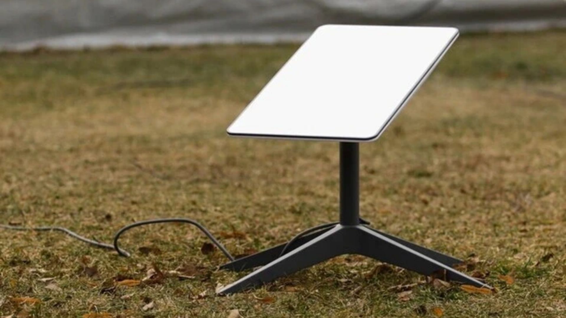 В мире произошел массовый сбой в сети Starlink В мире произошел массовый сбой в сети Starlink