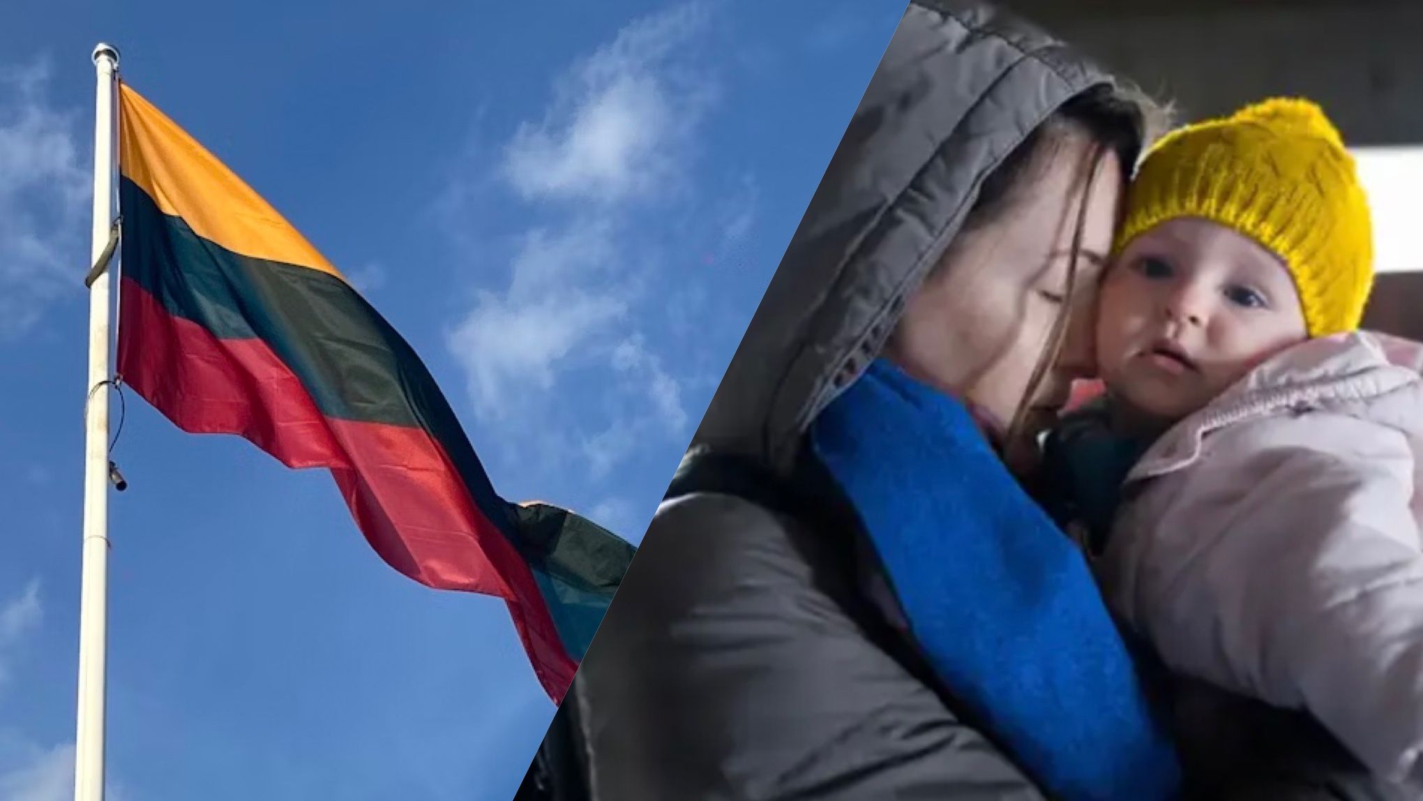 Литва планирует продлить временную защиту для украинцев