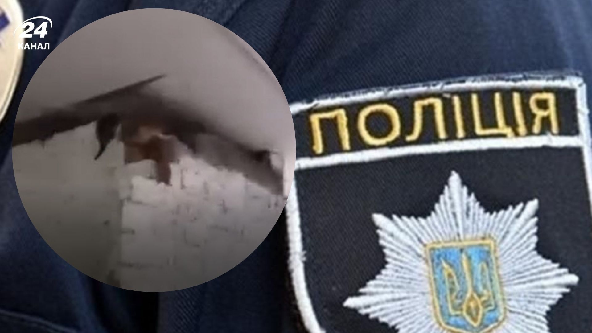 Полиция отреагировала на видео, где дети издевались над котом Полиция отреагировала на видео, где дети издевались над котом