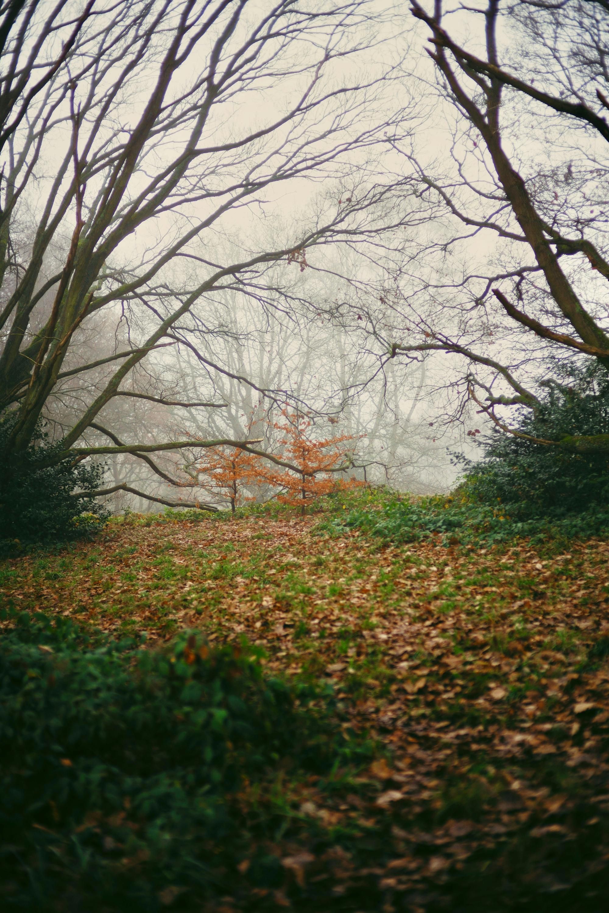 В ближайшее время следует ожидать туман и небольшие осадки 