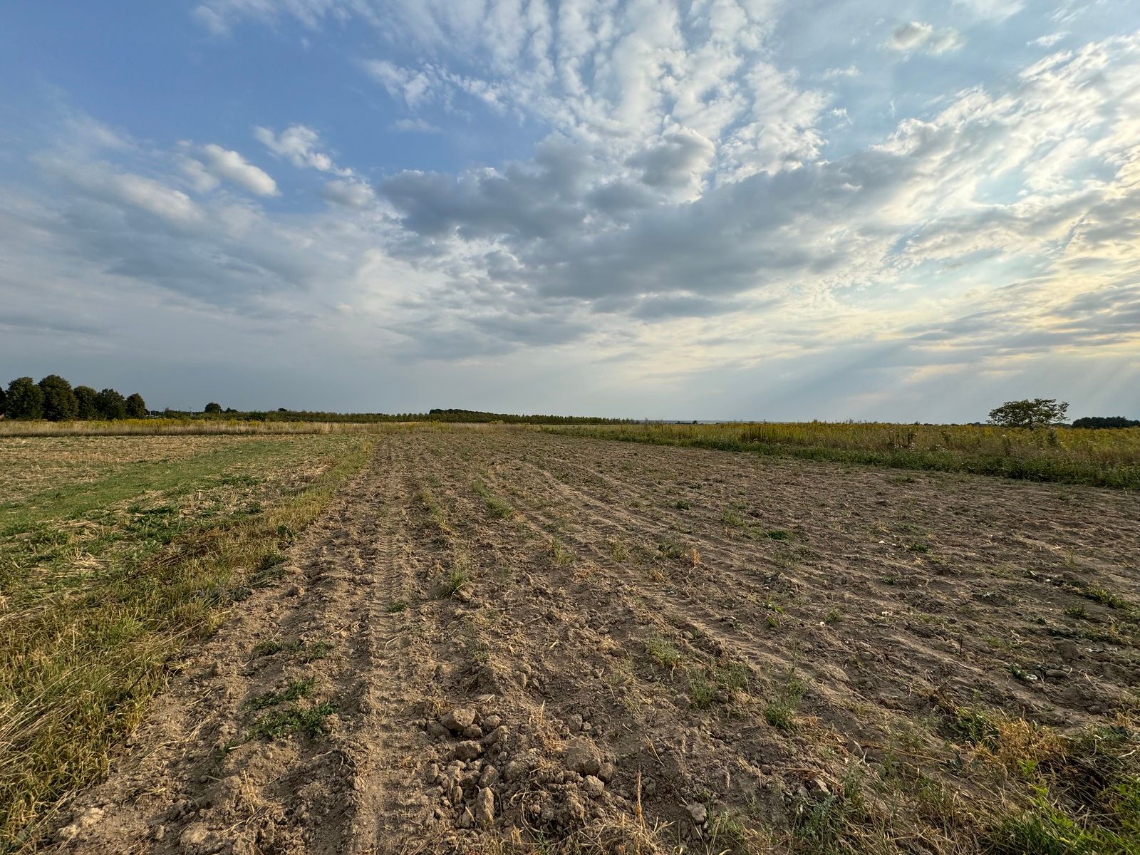 Земля в оренді