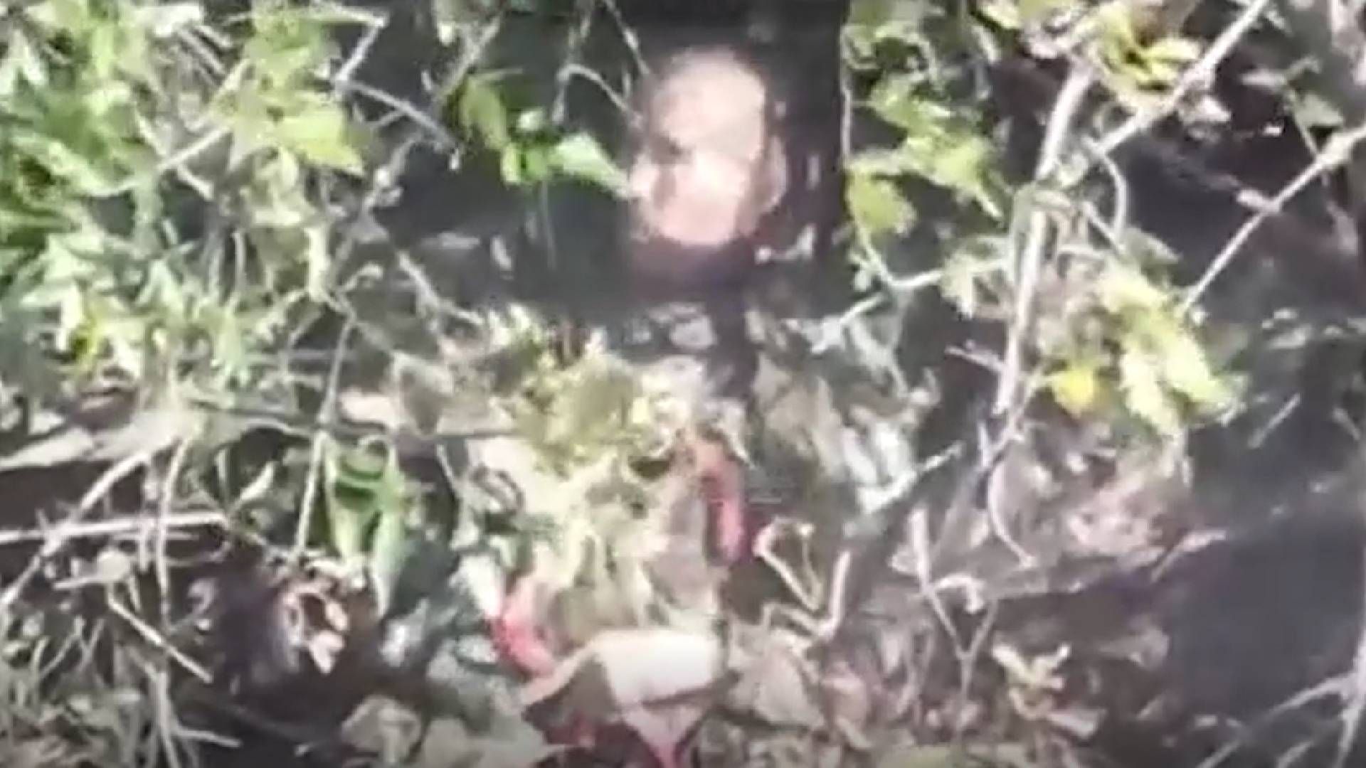 В Донецкой области защитники отминусовали двойника Путина В Донецкой области защитники отминусовали двойника Путина