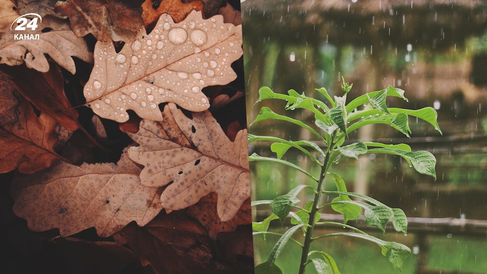 Синоптик рассказал, как изменится погода в ближайшие дни Синоптик рассказал, как изменится погода в ближайшие дни