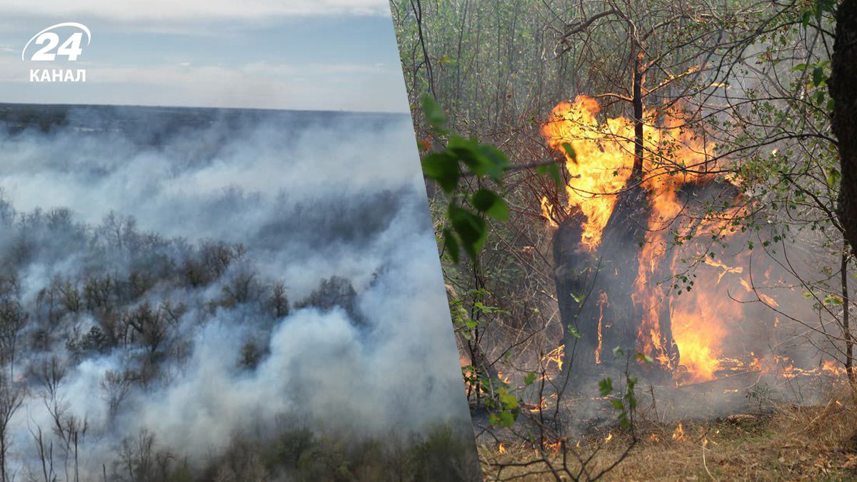 Масштабный пожар на Хортице Масштабный пожар на Хортице