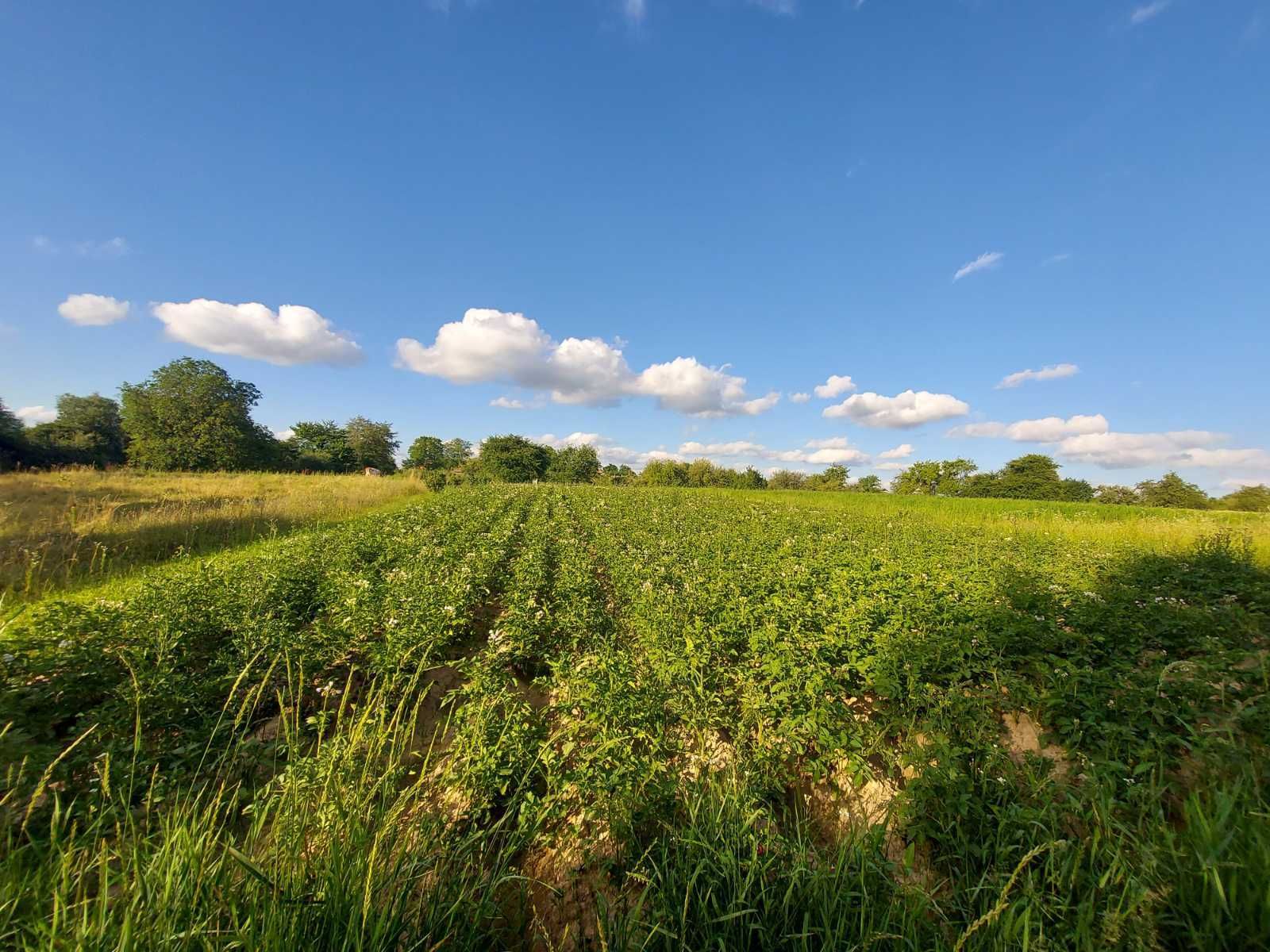Участок надо использовать правильно Участок надо использовать правильно