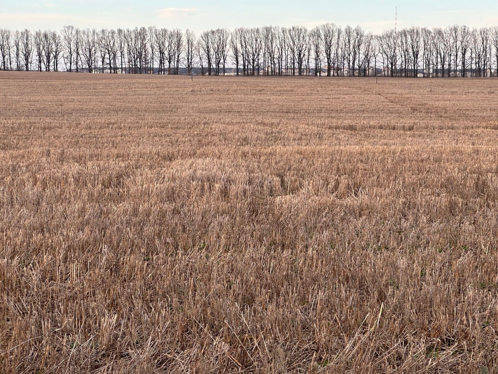Как присвоить кадастровый номер Как присвоить кадастровый номер