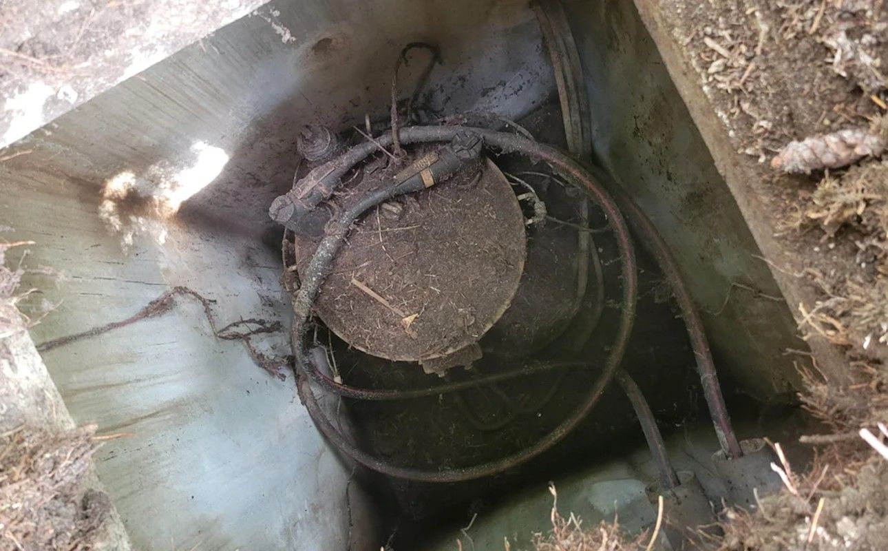 Чоловік зробив неочікуване відкриття у дворі Чоловік зробив неочікуване відкриття у дворі