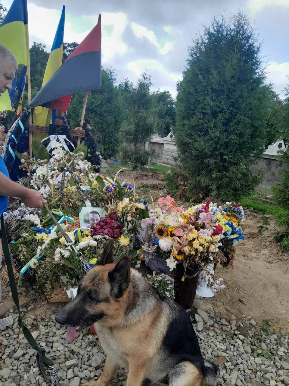 Босс на могиле хозяина Босс на могиле хозяина