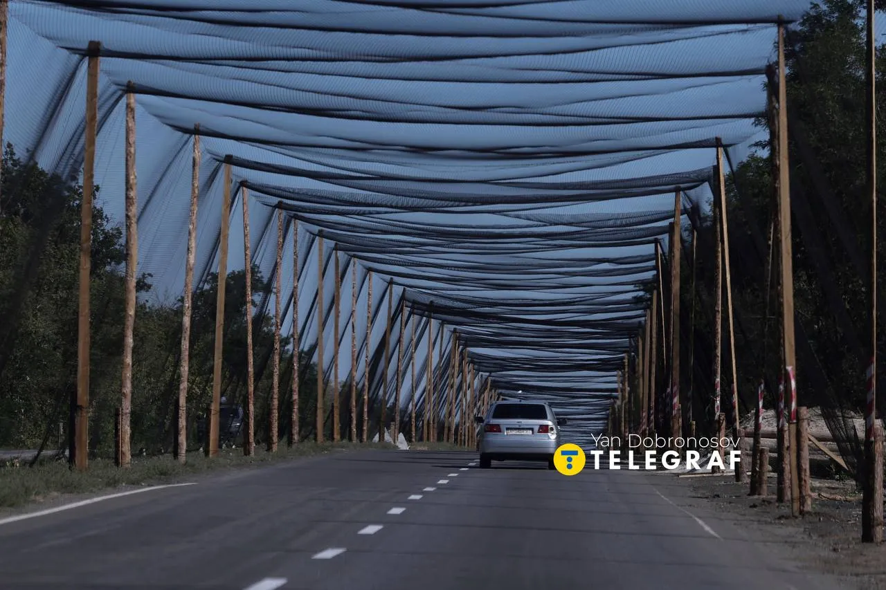 як виглядають антидронові сітки - фото