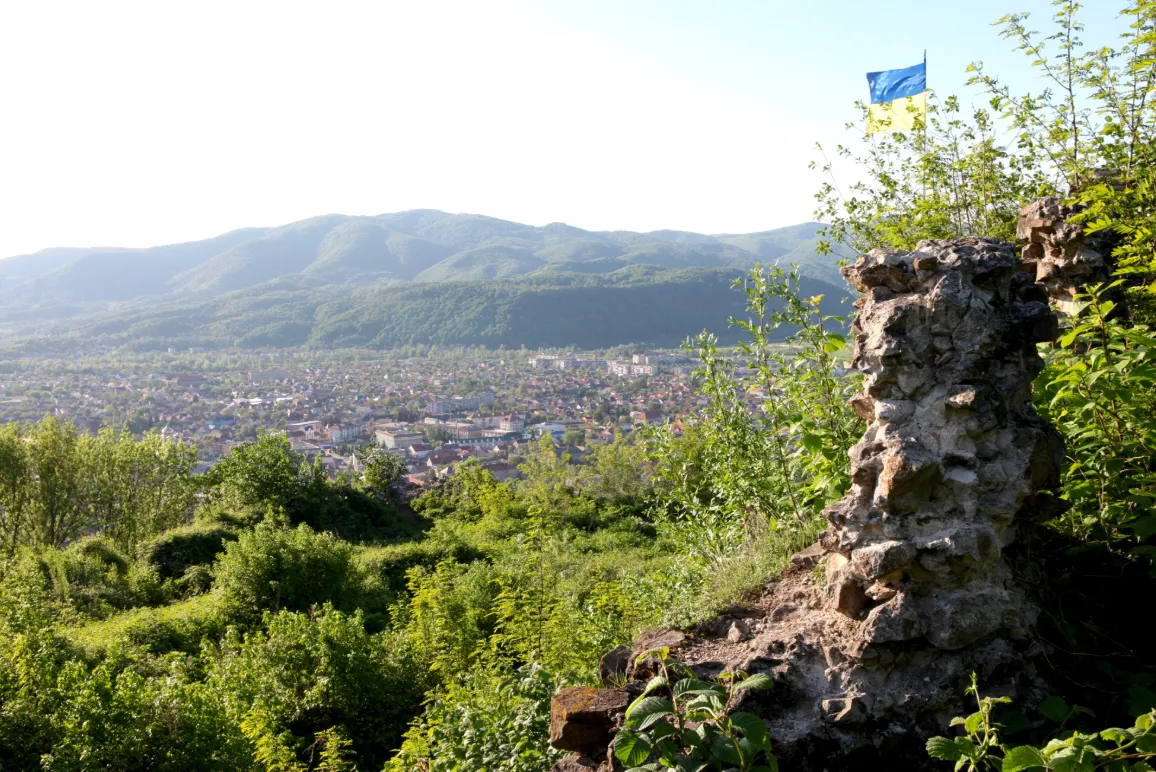 Вид з Замкової гори