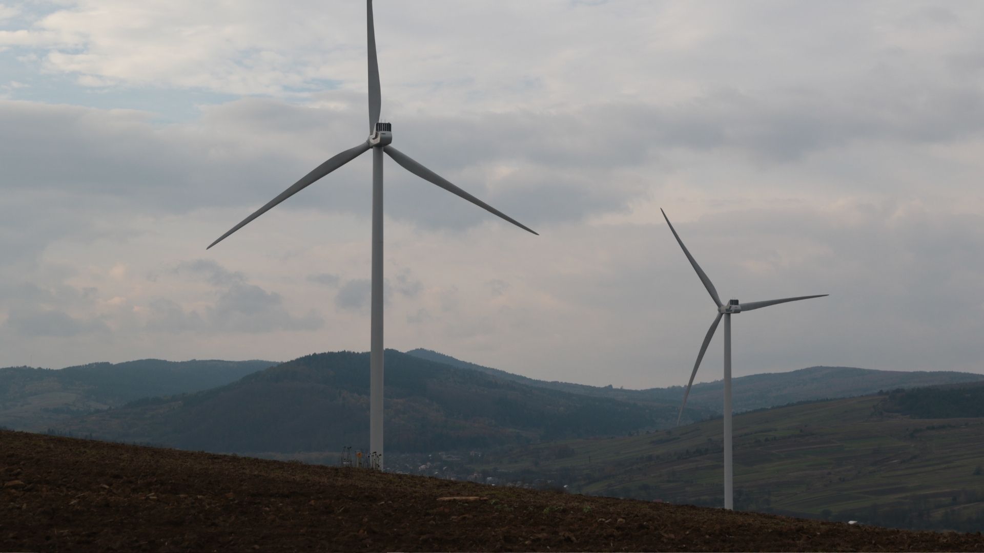 Знищення пралісів у Карпатах