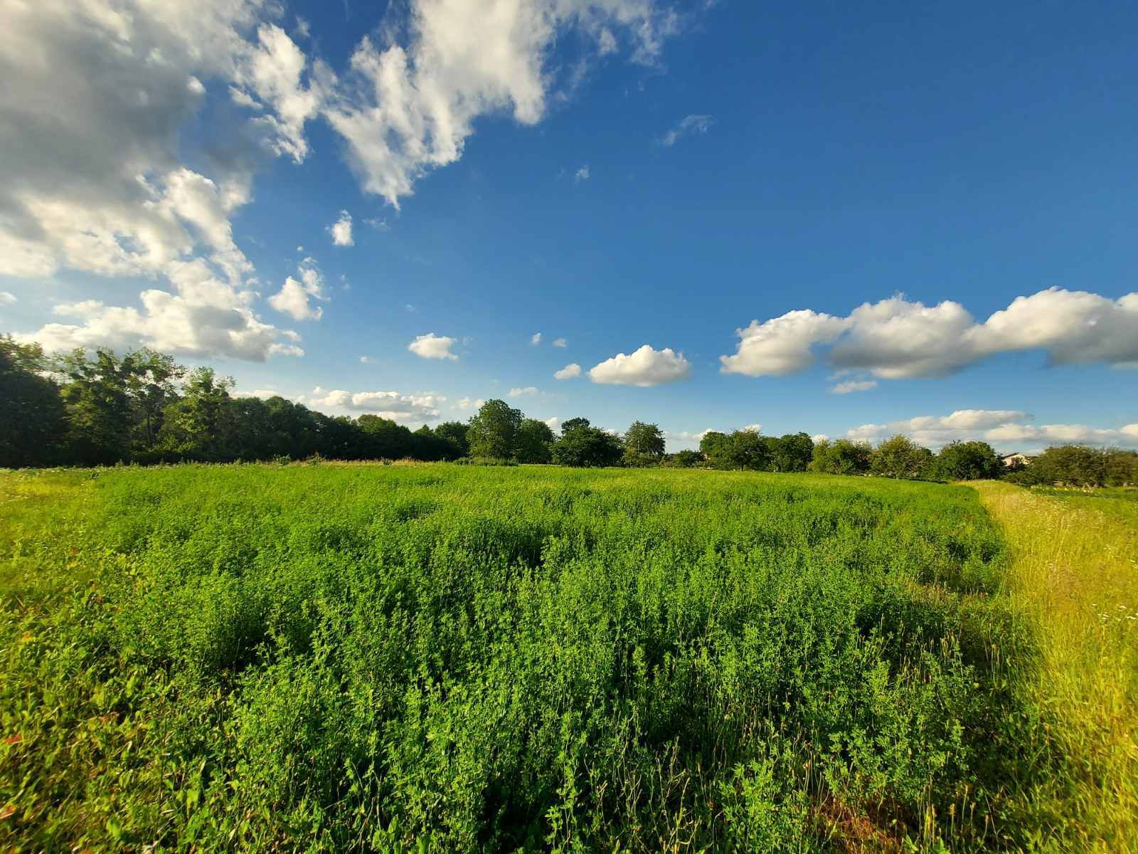 Скільки платити податку Скільки платити податку