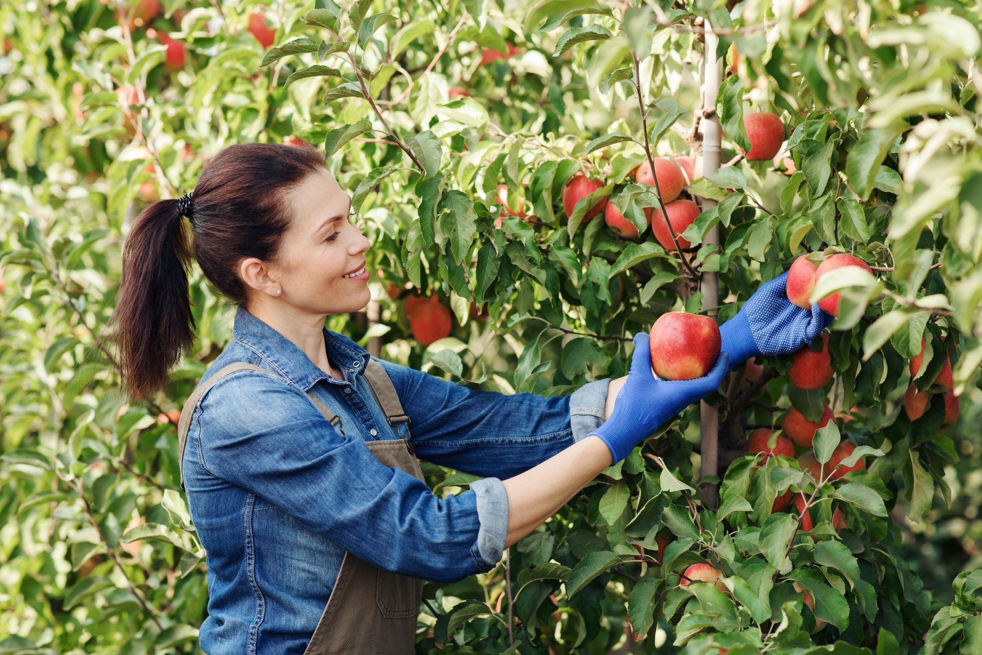 Сезонную работу можно найти и осенью