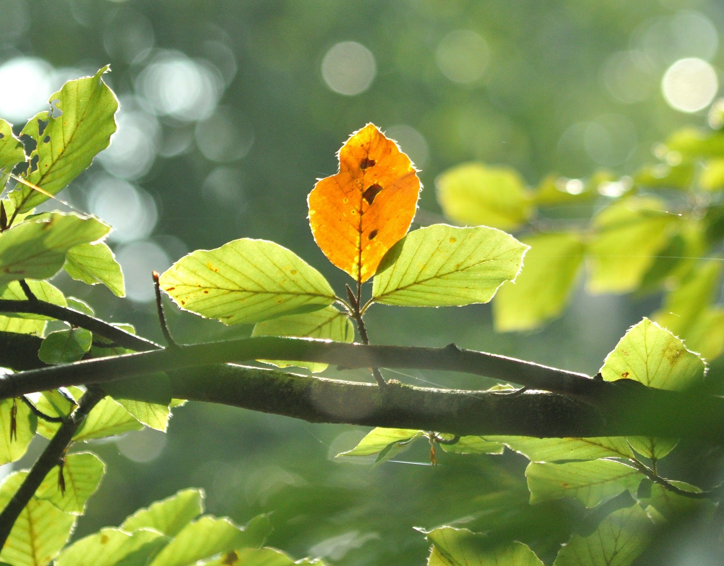 Погода на 21 сентября - 24 Канал Погода на 21 сентября - 24 Канал