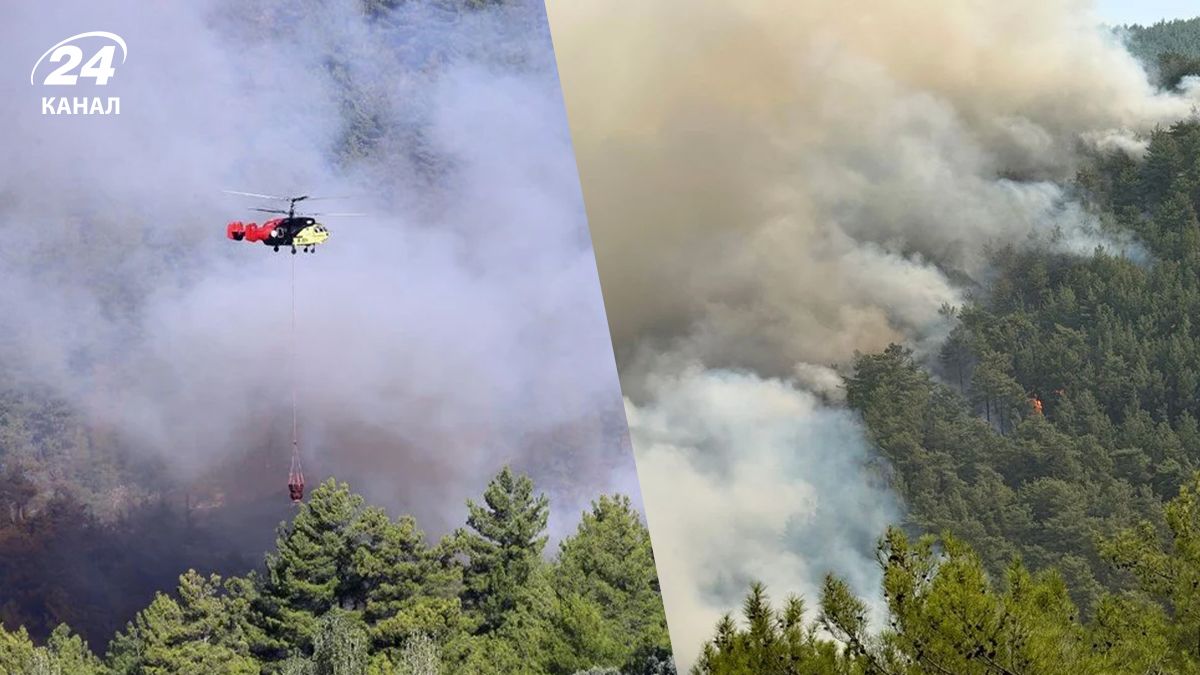 Лесные пожары в Турции Лесные пожары в Турции