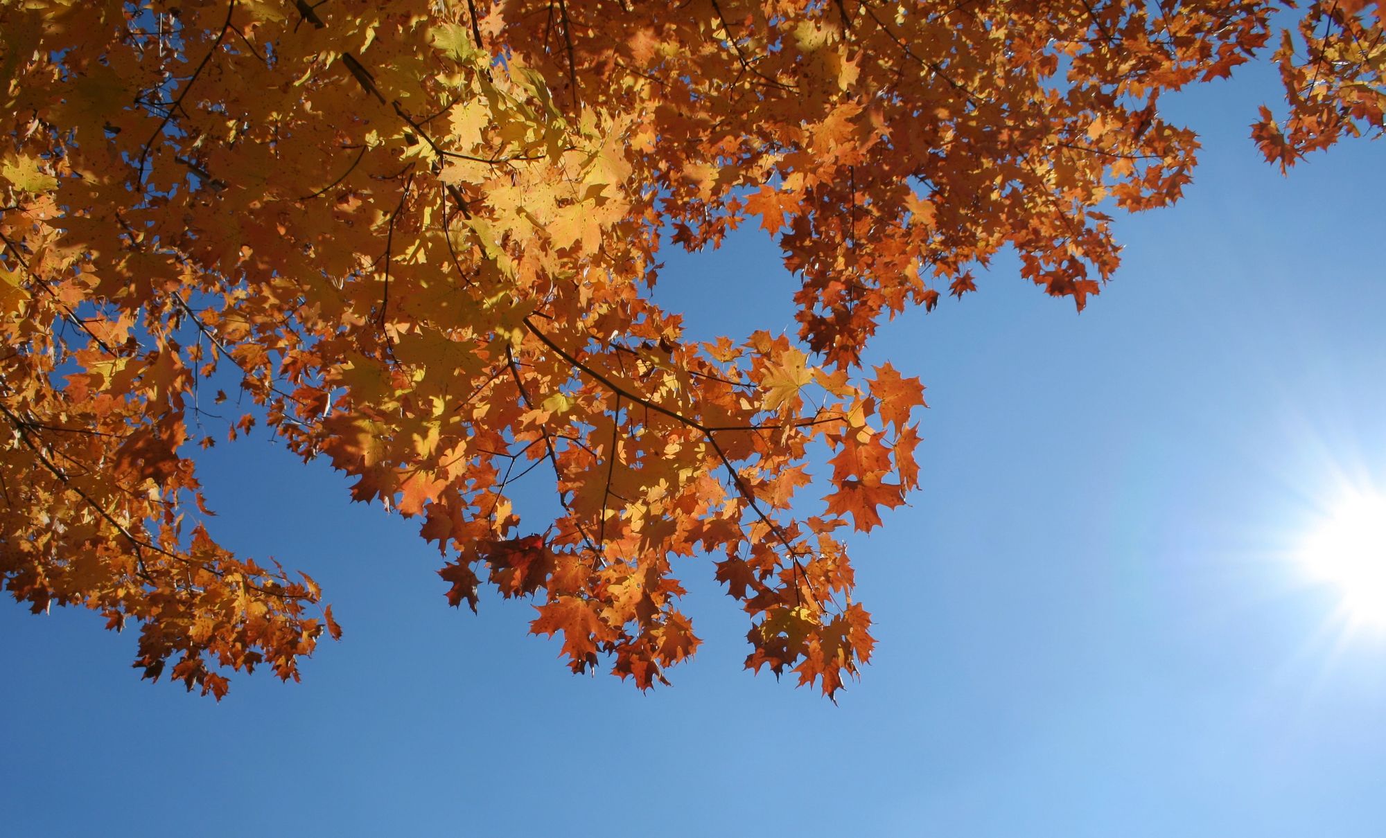 Коли насправді день дорівнює ночі