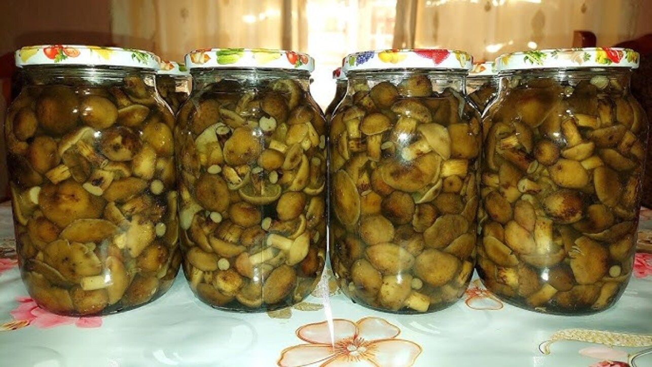 Классические маринованные опята Классические маринованные опята