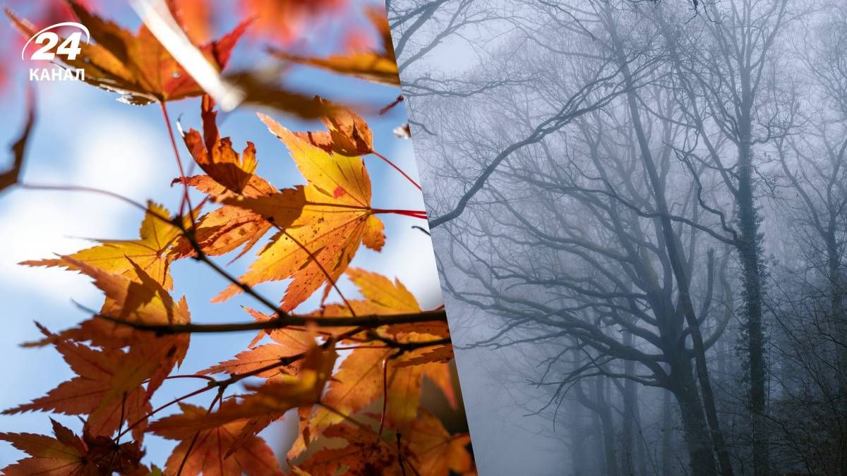 Прогноз погоды в Украине на 22 сентября 2025 года - 24 Канал