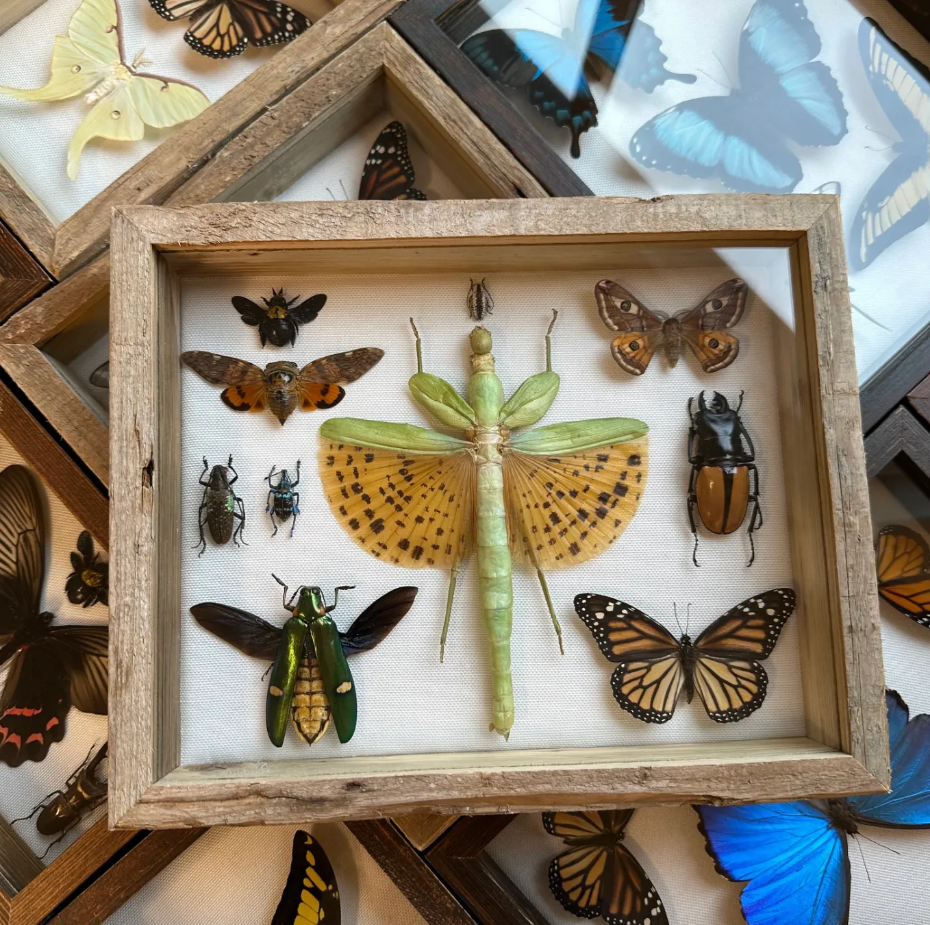 Некоторые сувениры не стоит везти из путешествия