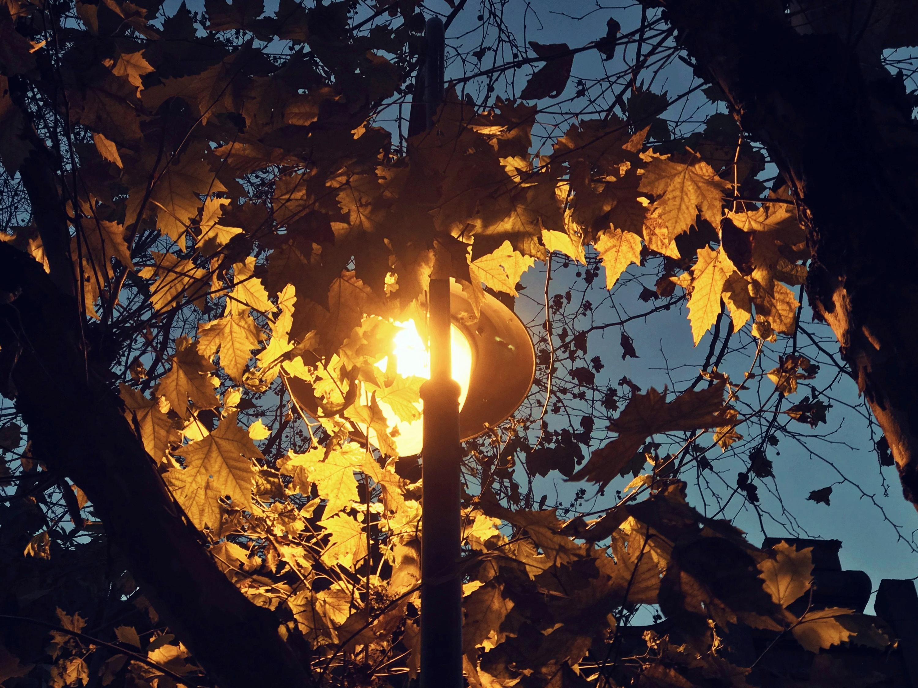 Осеннее равноденствие 2025: что это и когда произойдет Осеннее равноденствие 2025: что это и когда произойдет