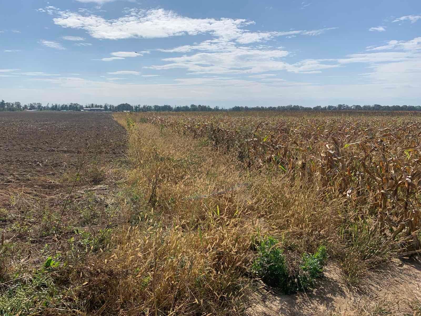 Коли договір оренди недійсний