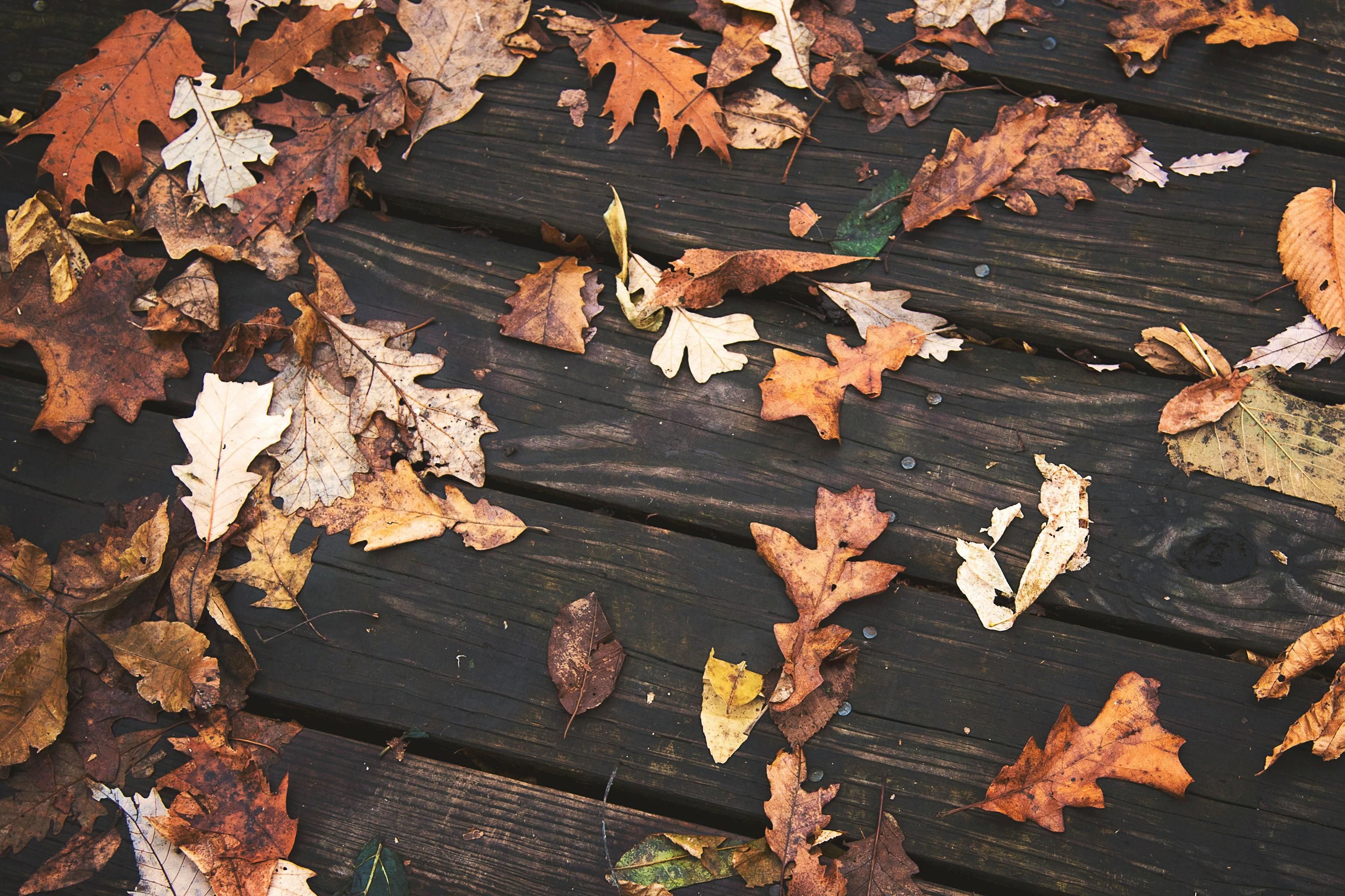 Погода в Україні 24 вересня