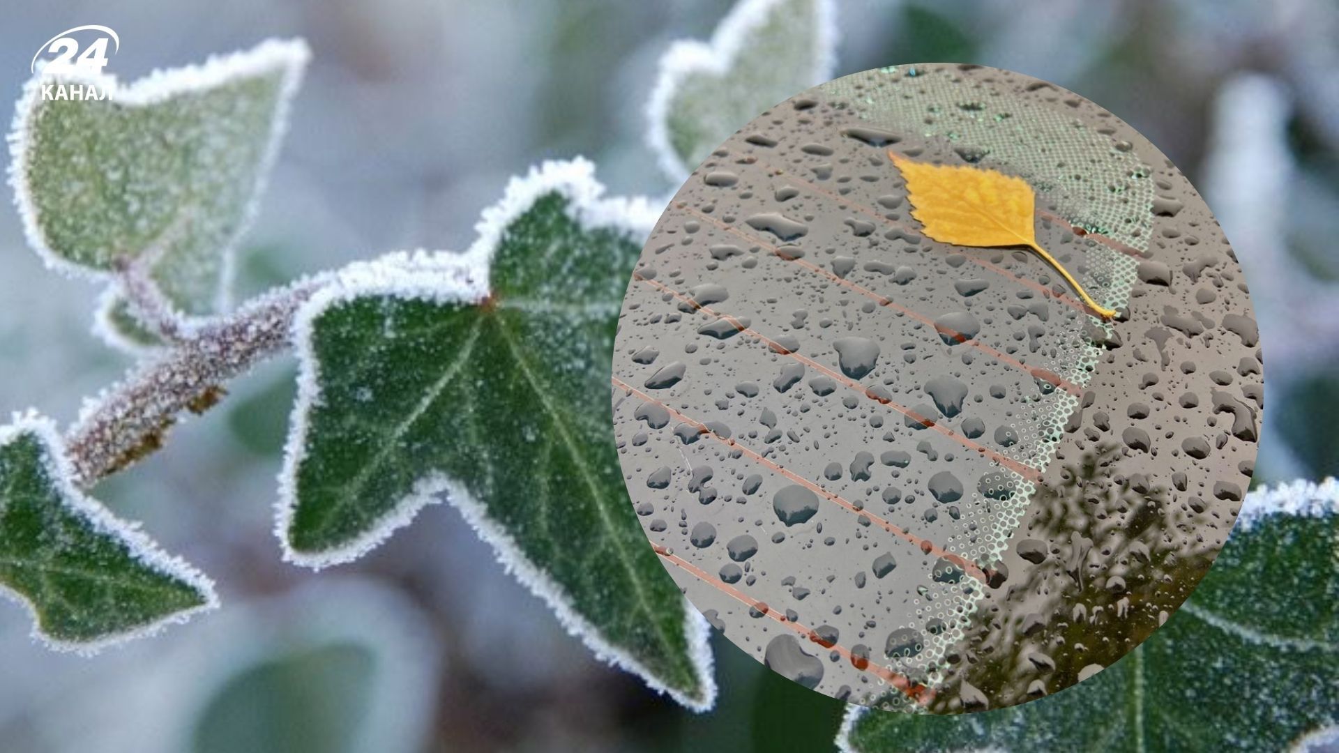 Україну накриють дощі та заморозки