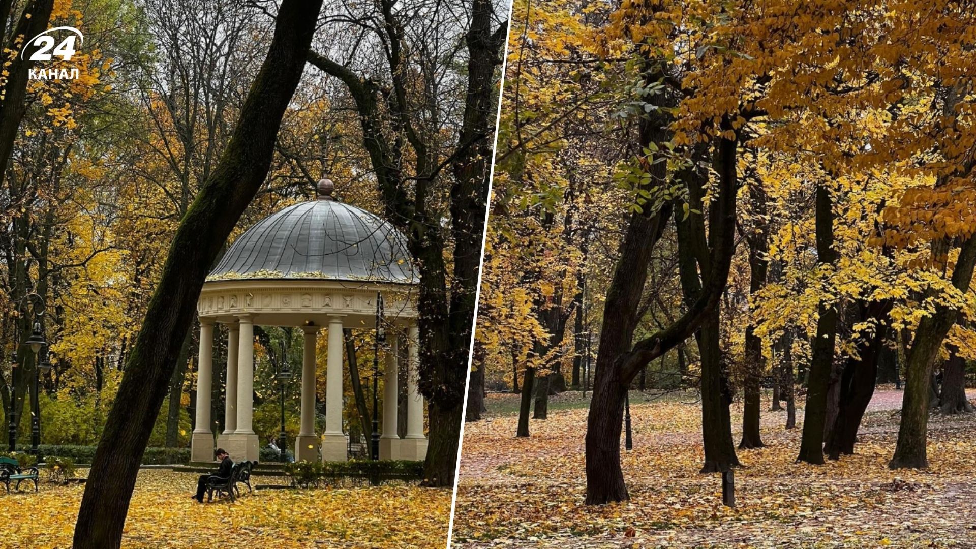 Де у Львові є Єзуїтський сад і яка його історія